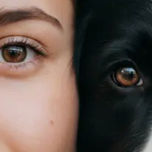 Cheek to Cheek Portrait detail