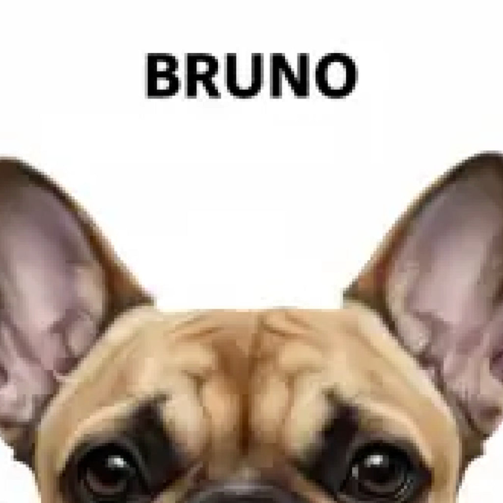 Modern Pet Portrait detail