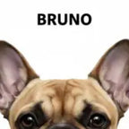 Modern Pet Portrait detail